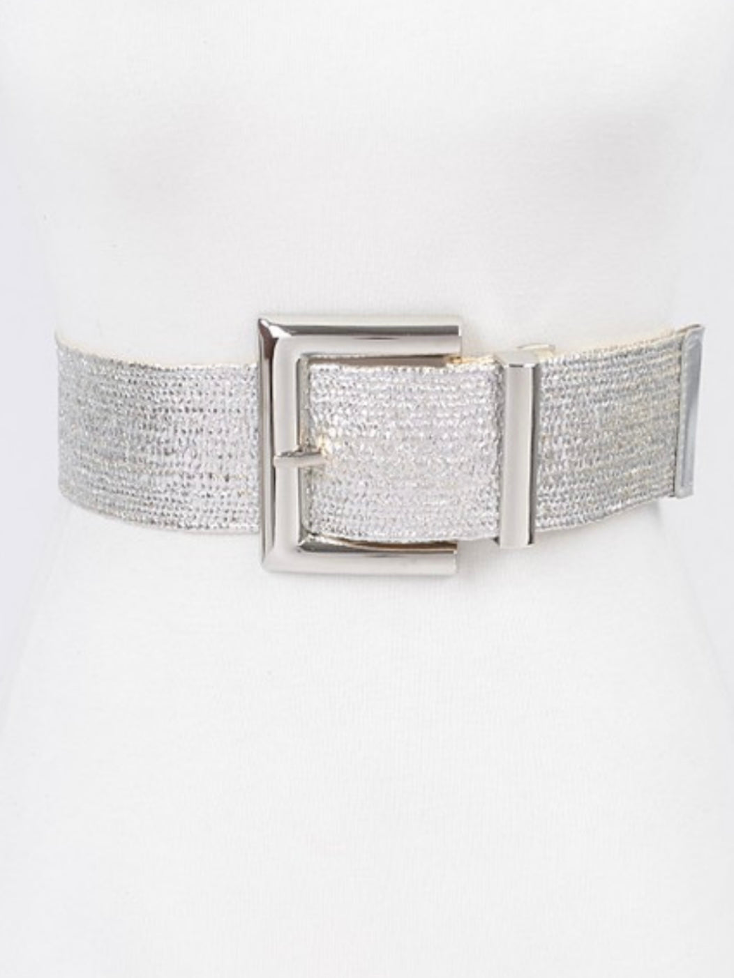 Large Rectangle Metallic Stretch Straw Belt