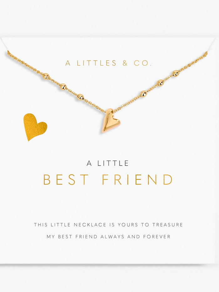 Little Moment  Best Friend Necklace