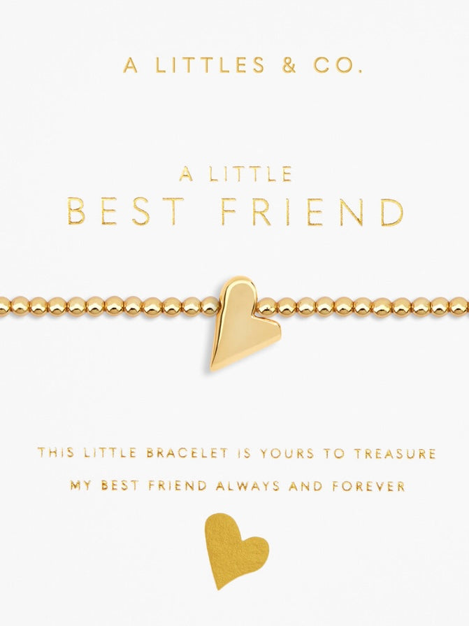 Life Treasure Moments Bracelet