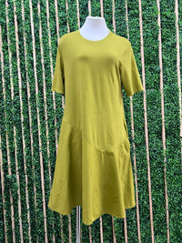 Drop Waist Flared Shirt Dress