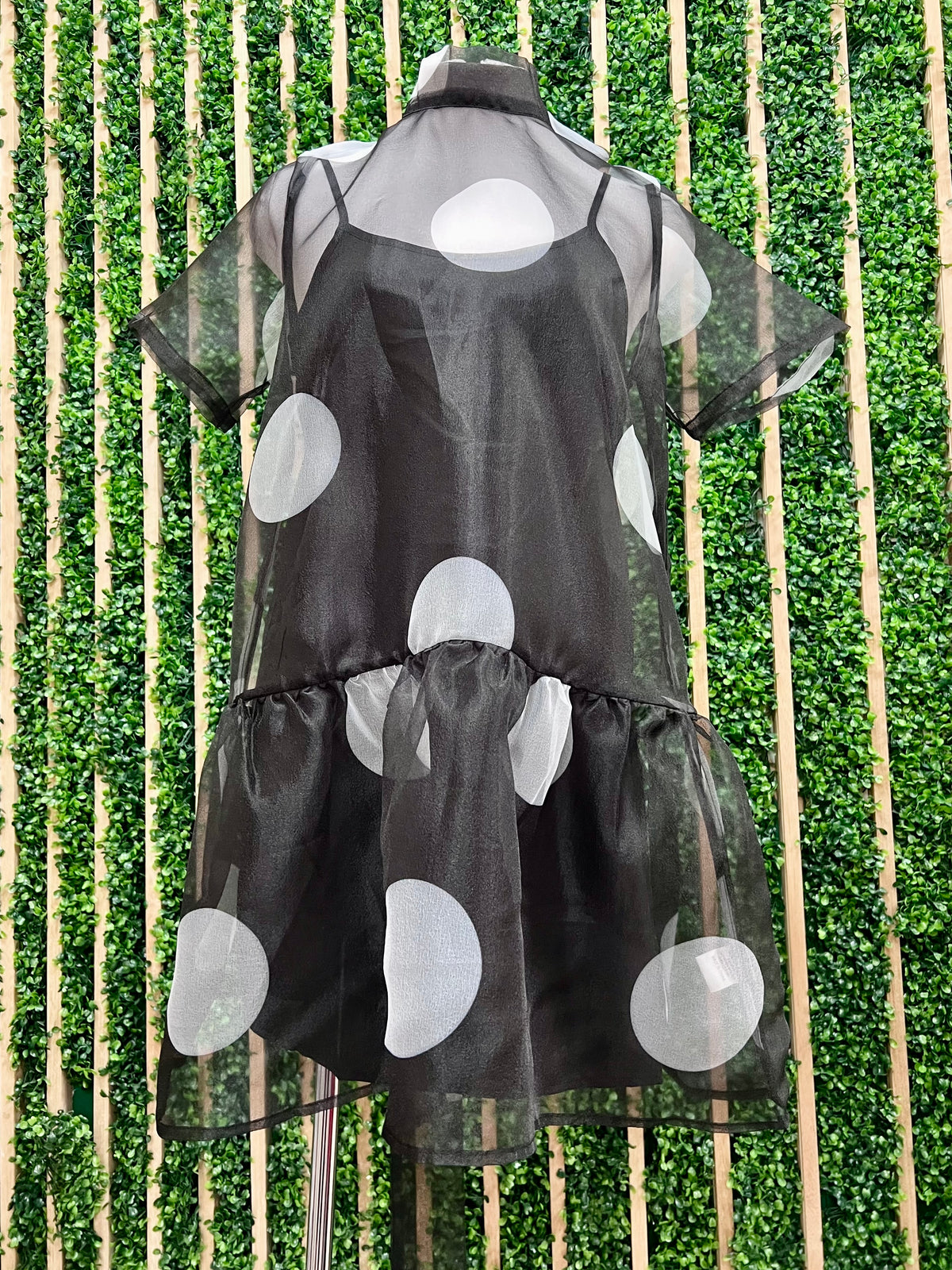 Black Sheer Polka Dot Self Bow Tie Dress