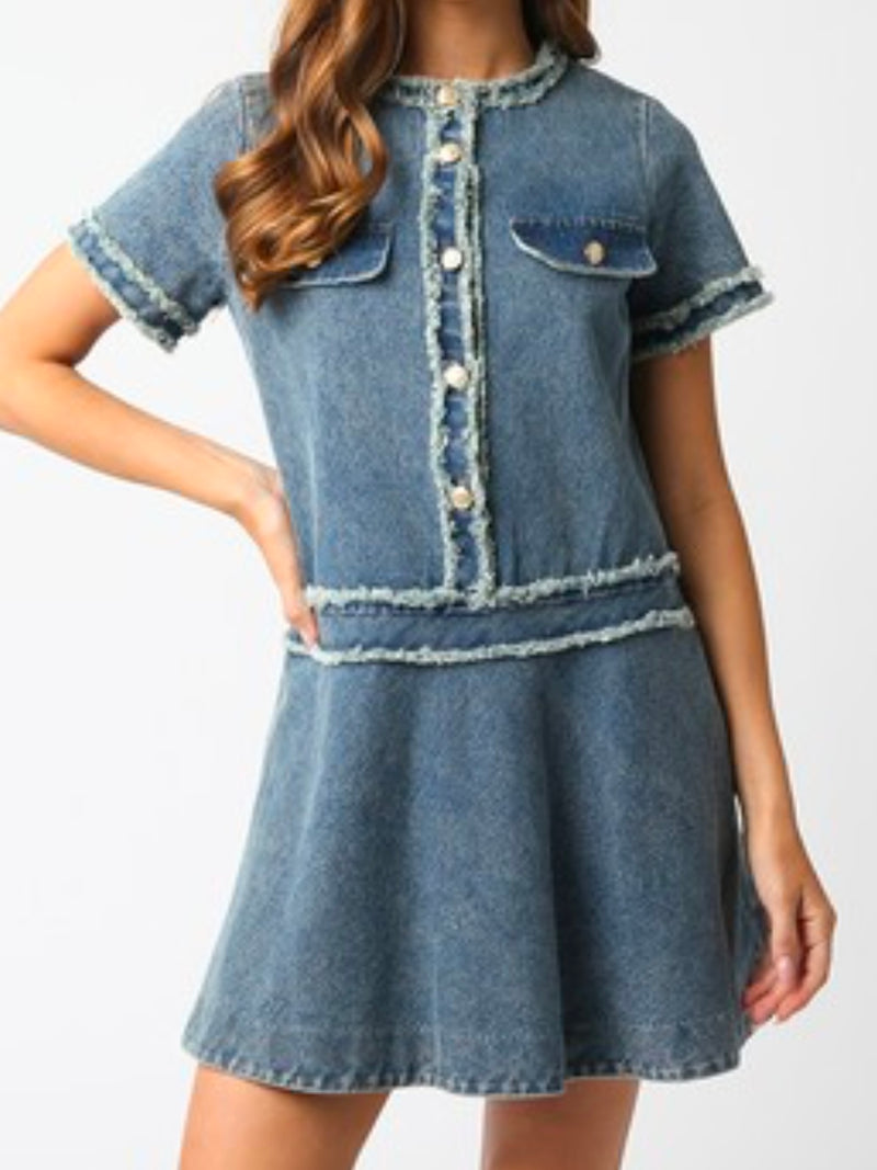 Frayed Detail Coco Denim Dress