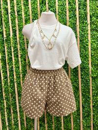 Brown Polka Dot Short Pant