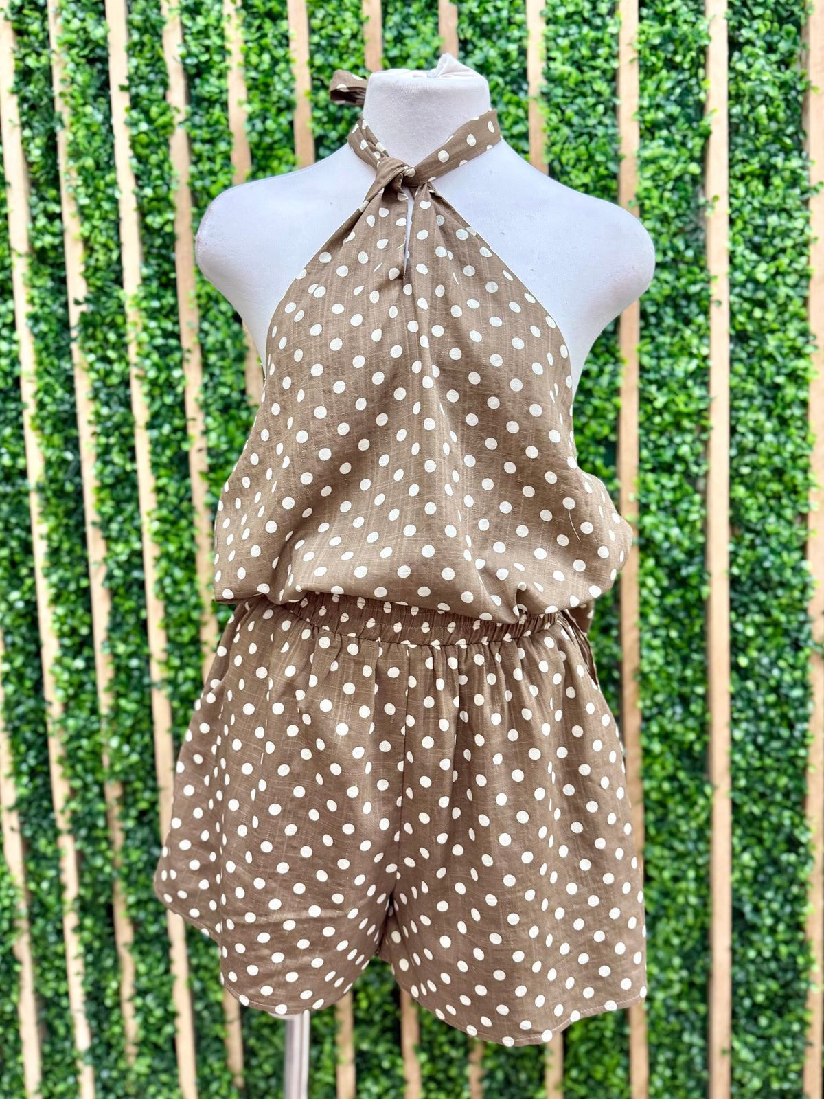 Brown Polka Dot Short Pant