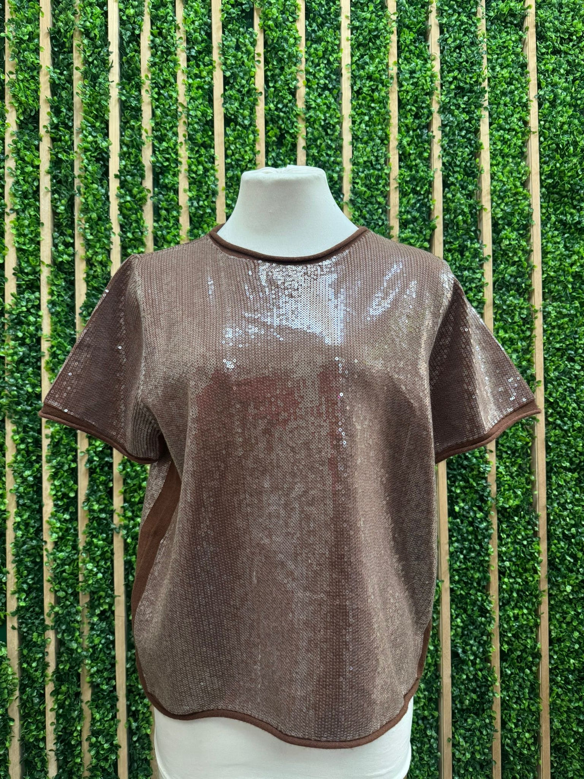 Tiny Sequins Covered Short Sleeve Top