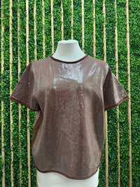 Tiny Sequins Covered Short Sleeve Top