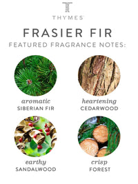 Frasier Fir Tin Candle