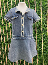 Frayed Detail Coco Denim Dress