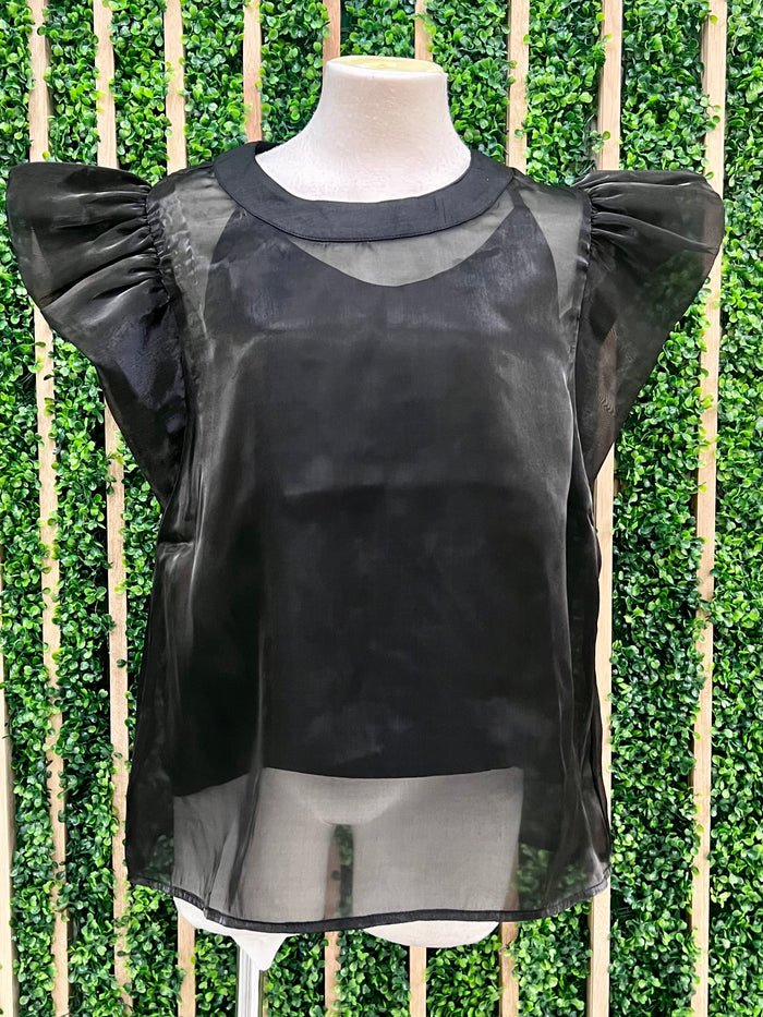 Sparkly Organza Blouse