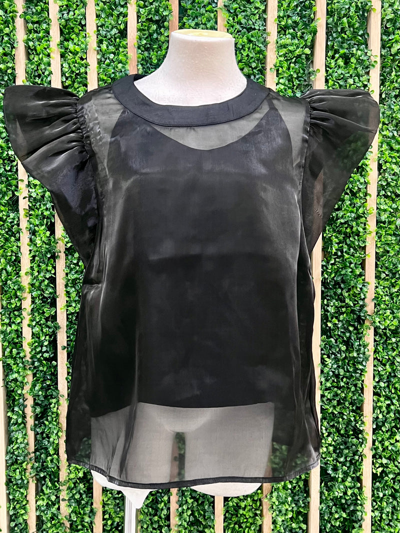 Sparkly Organza Blouse