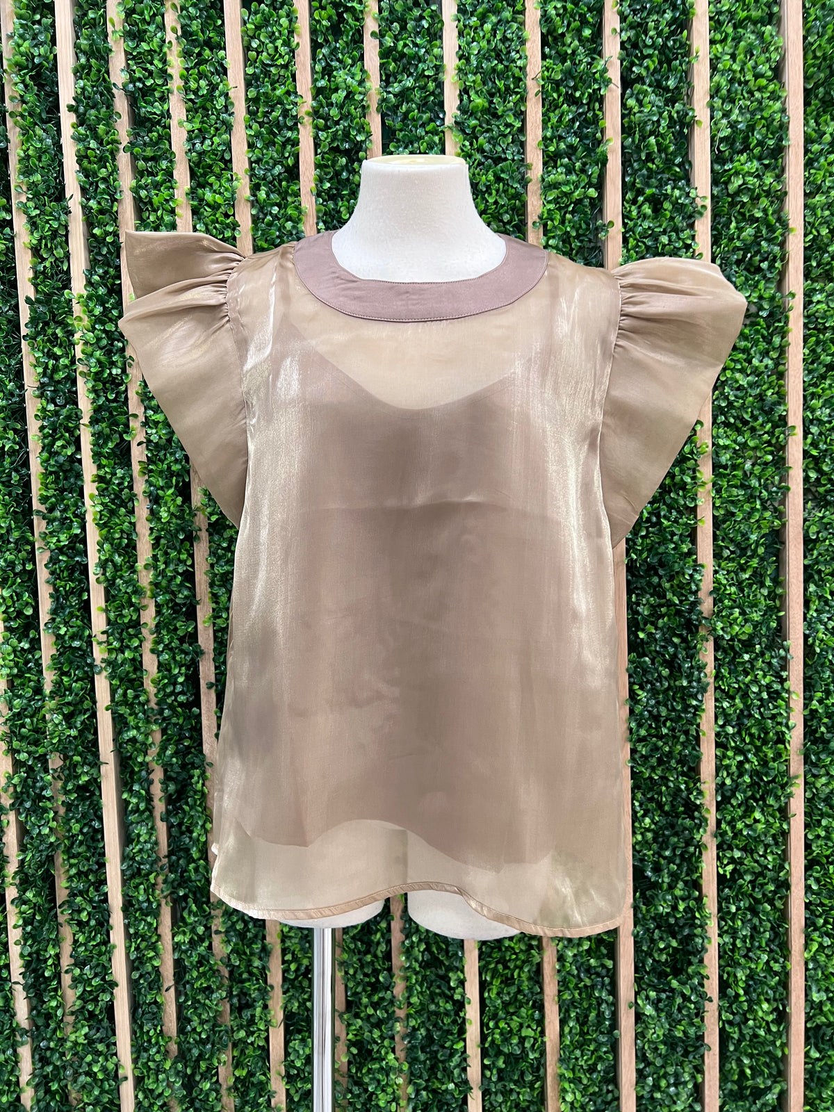 Sparkly Organza Blouse