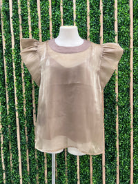 Sparkly Organza Blouse