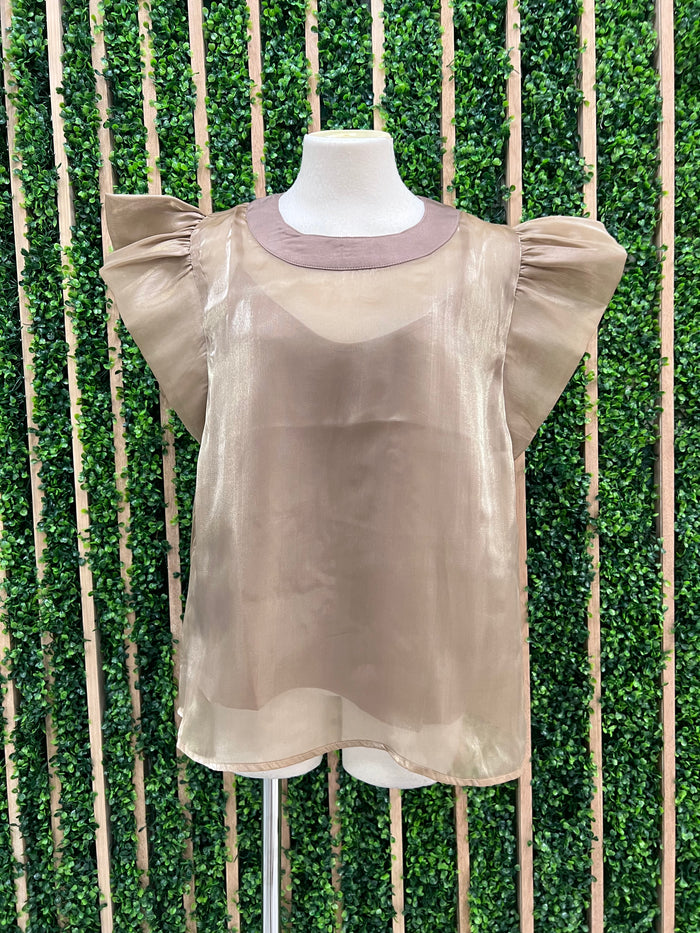 Sparkly Organza Blouse