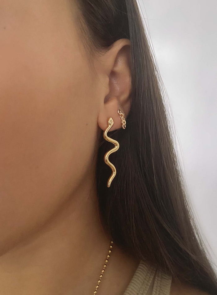 Snake Earrings