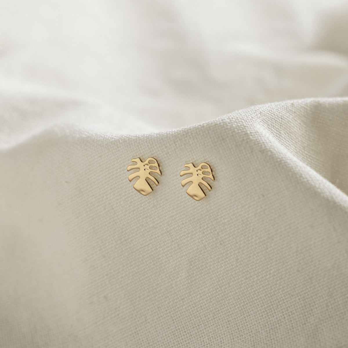 Monstera Leaf Studs Goldfilled