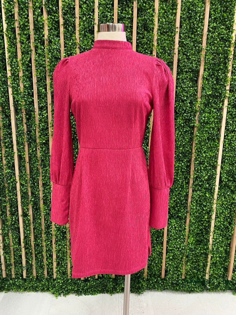 Hot Pink Textured Long Sleeve Dress