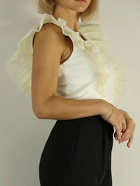 Cream ORganza Ruffle V Neck Top