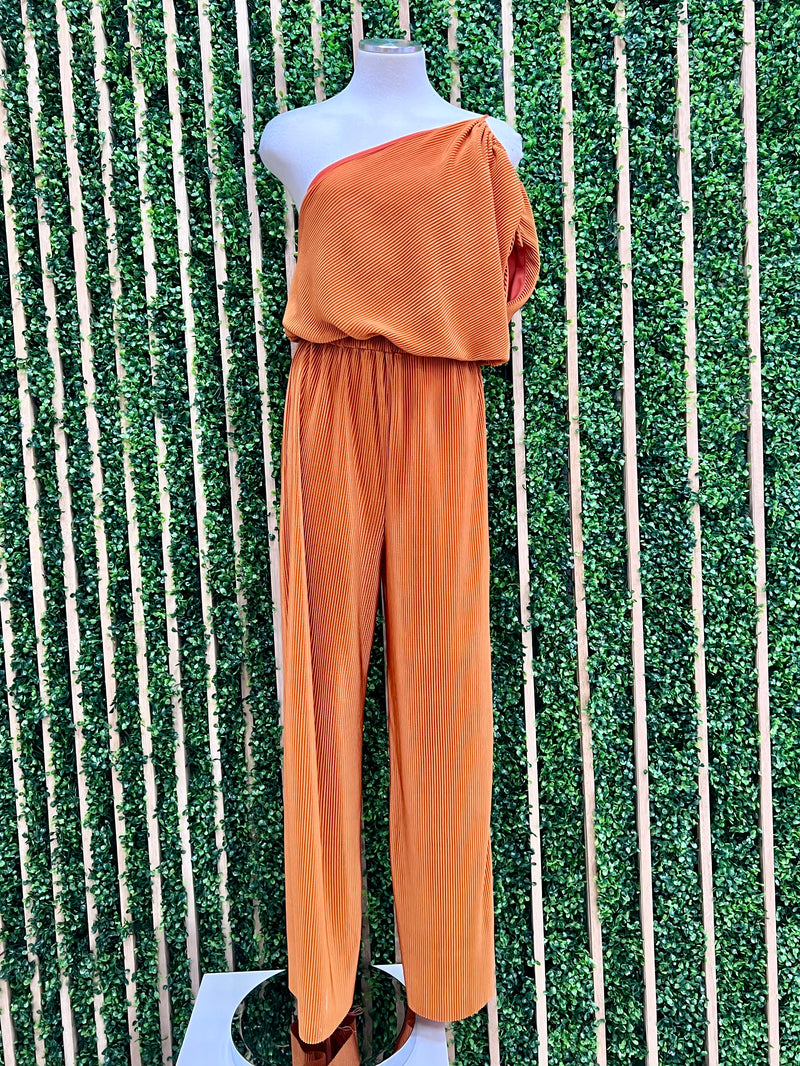 Pleated One Shoulder Jumpsuit