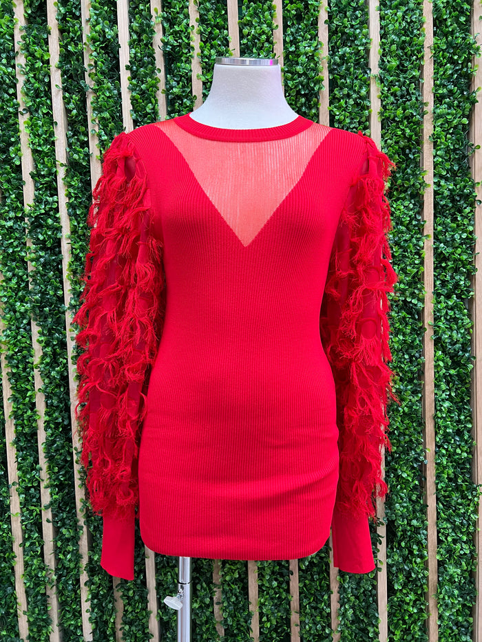 Tassel Sleeve Delicate Sweater