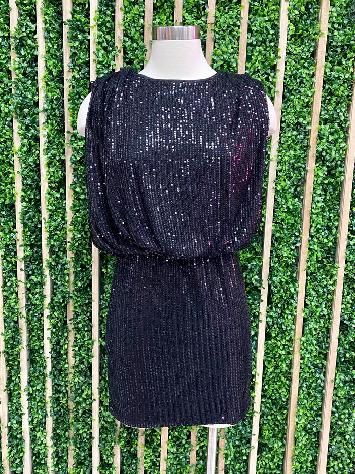 Sequin Round Neck Sleeveless Mini Dress