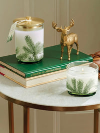 Frasier Fir Small Pine Needle Luminary