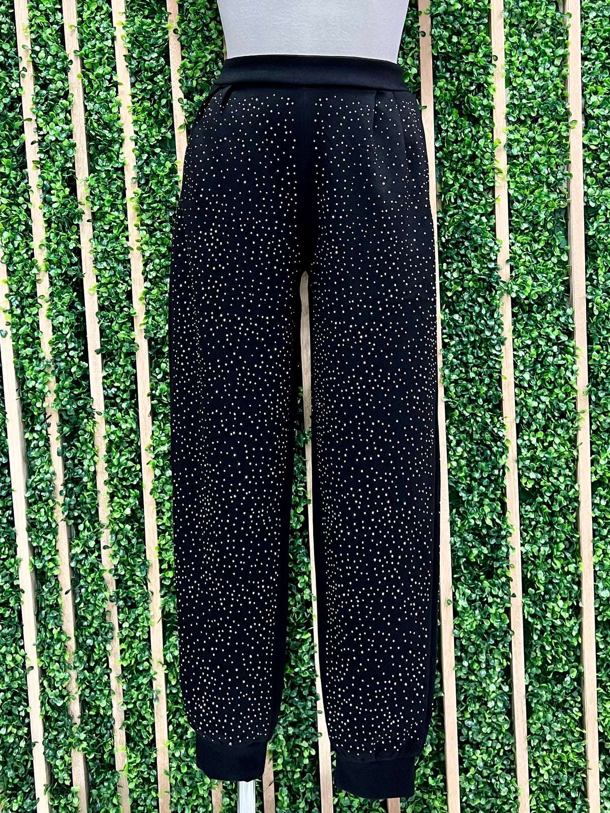Silver Studded Jogger
