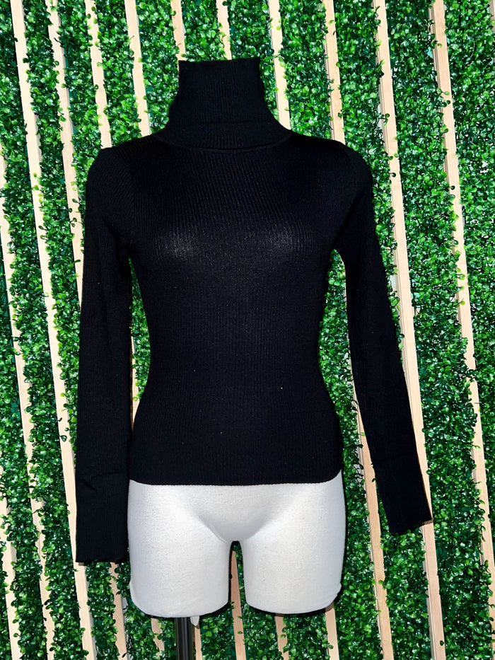 Turtle Neck Ribbed Sweater