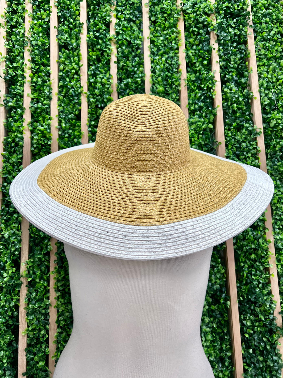 Color Trim Sun Hat