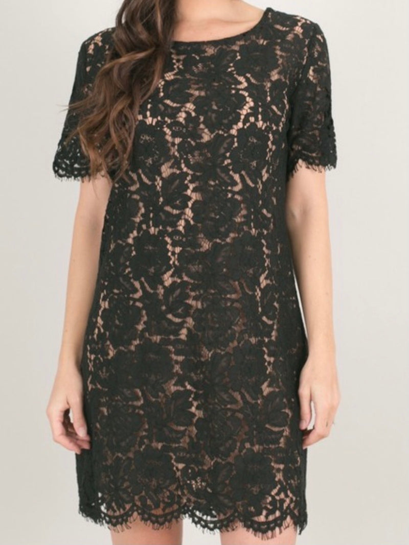 Black Lace Shift Dress