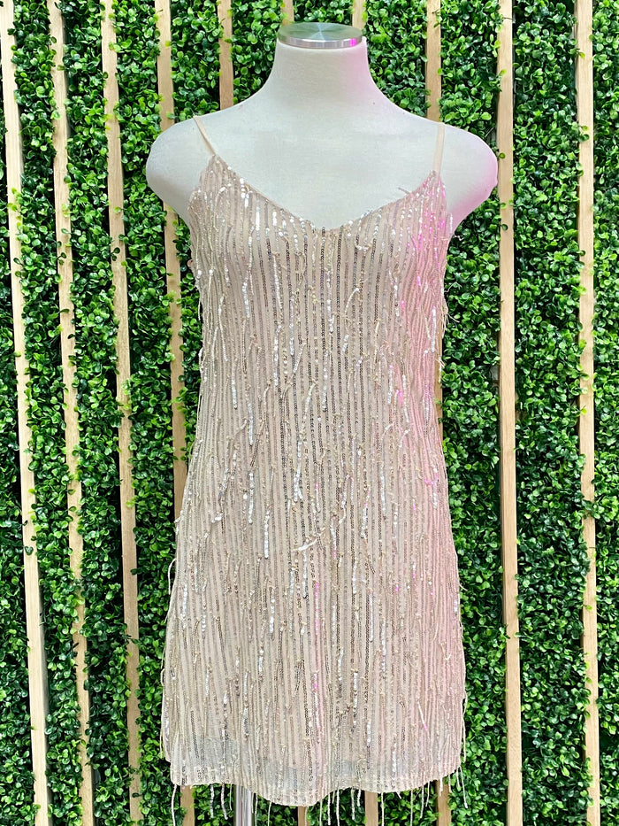 Sequin Fringe Fitted Dress