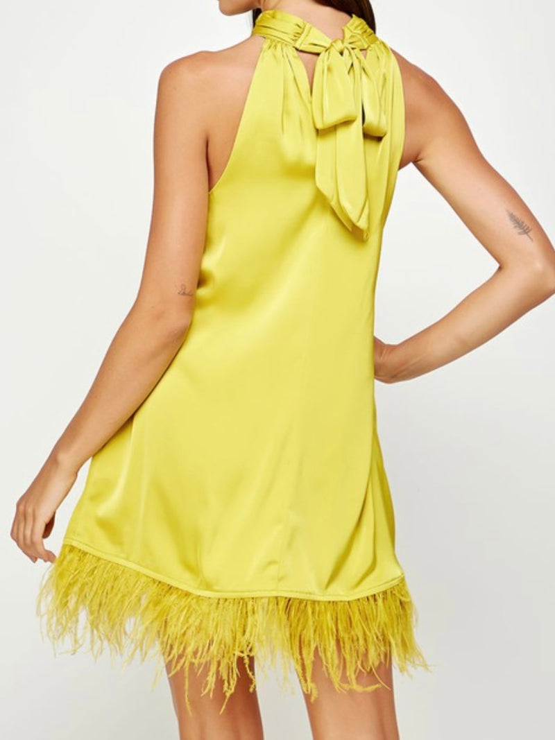 Halter Neck Feather Trim Dress