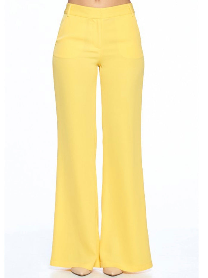 Classy Wide Leg Pants