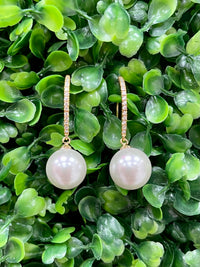 Single Pearl Drop Earring