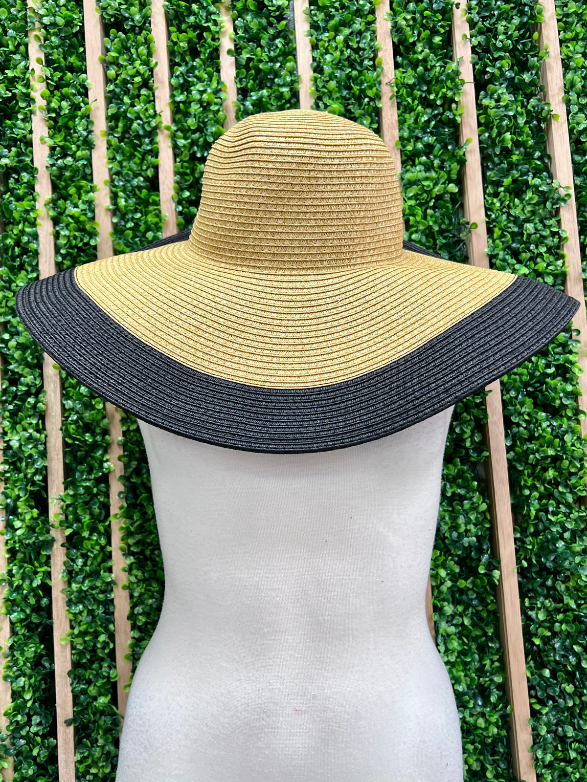 Color Trim Sun Hat