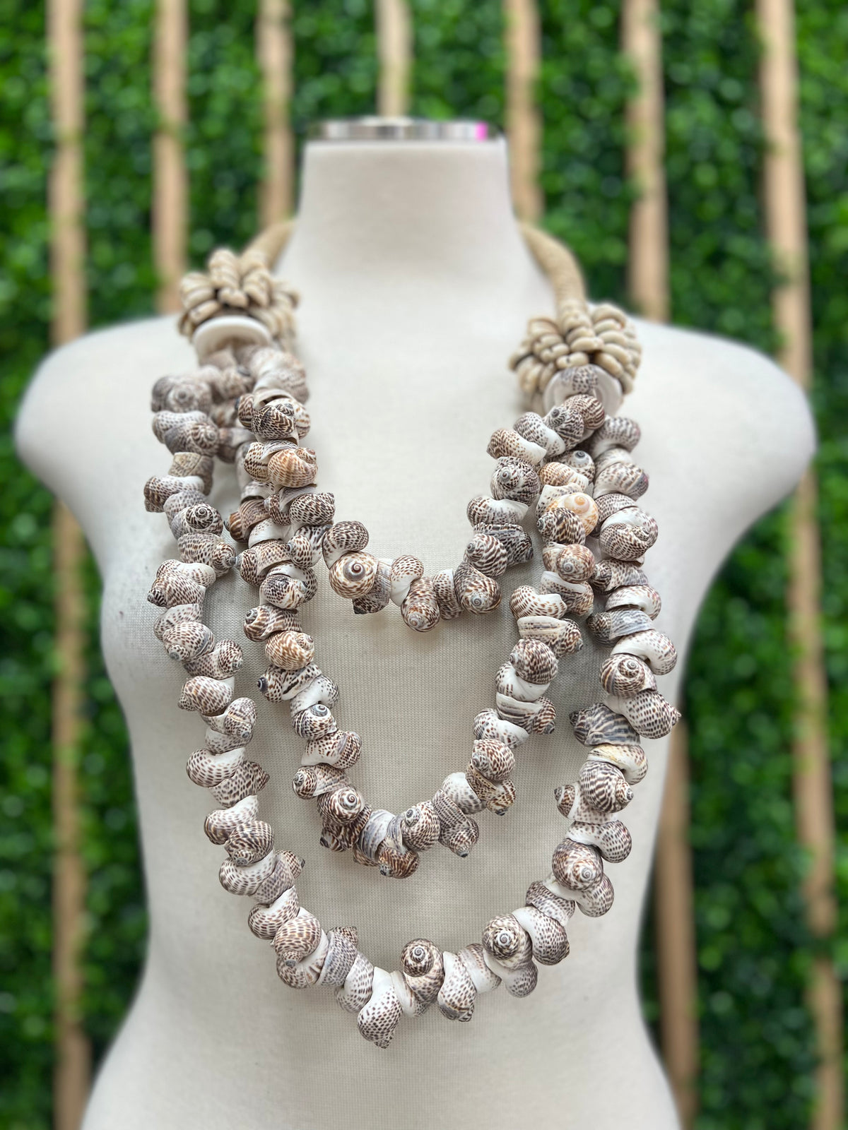Exquisite Seashell necklaces