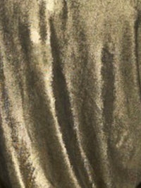 Wide Leg Metallic Pants