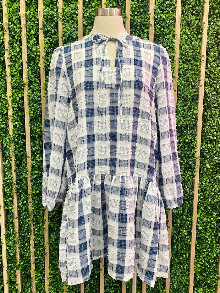 Blue Gingham Dropwaist Dress