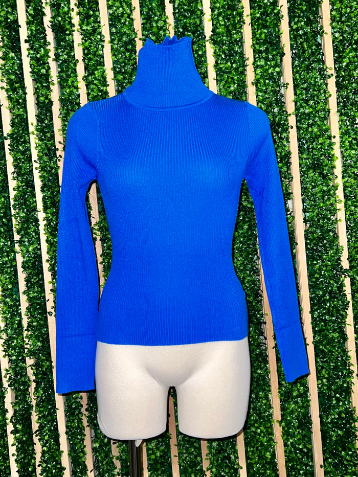 Turtle Neck Ribbed Sweater