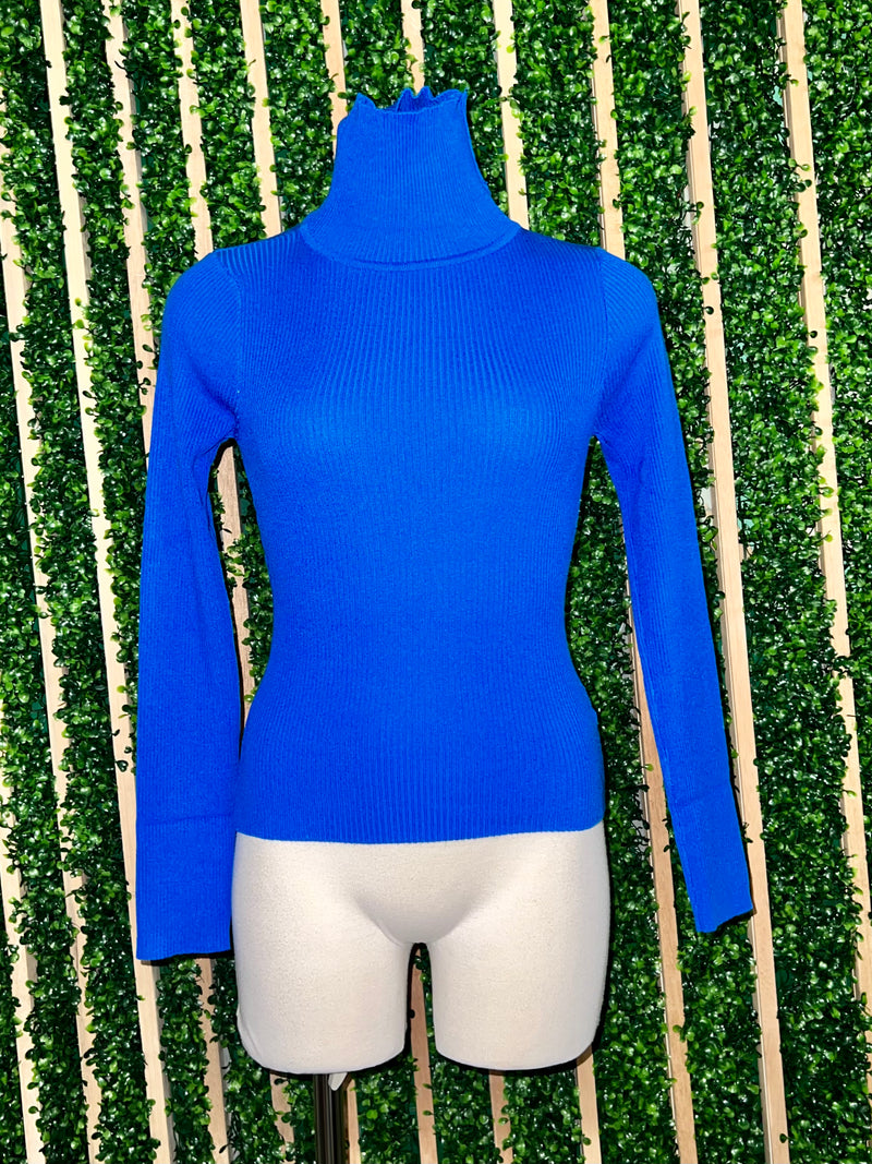 Turtle Neck Ribbed Sweater