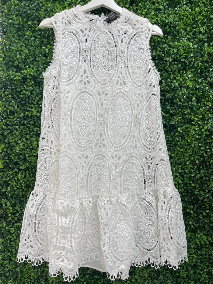 Classy Geupure Lace Drop Wasit Dress