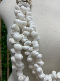 Exquisite Seashell necklaces