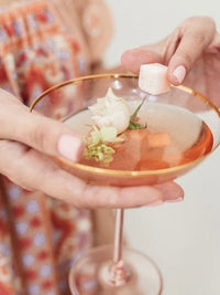 Instant Mimosa Kit