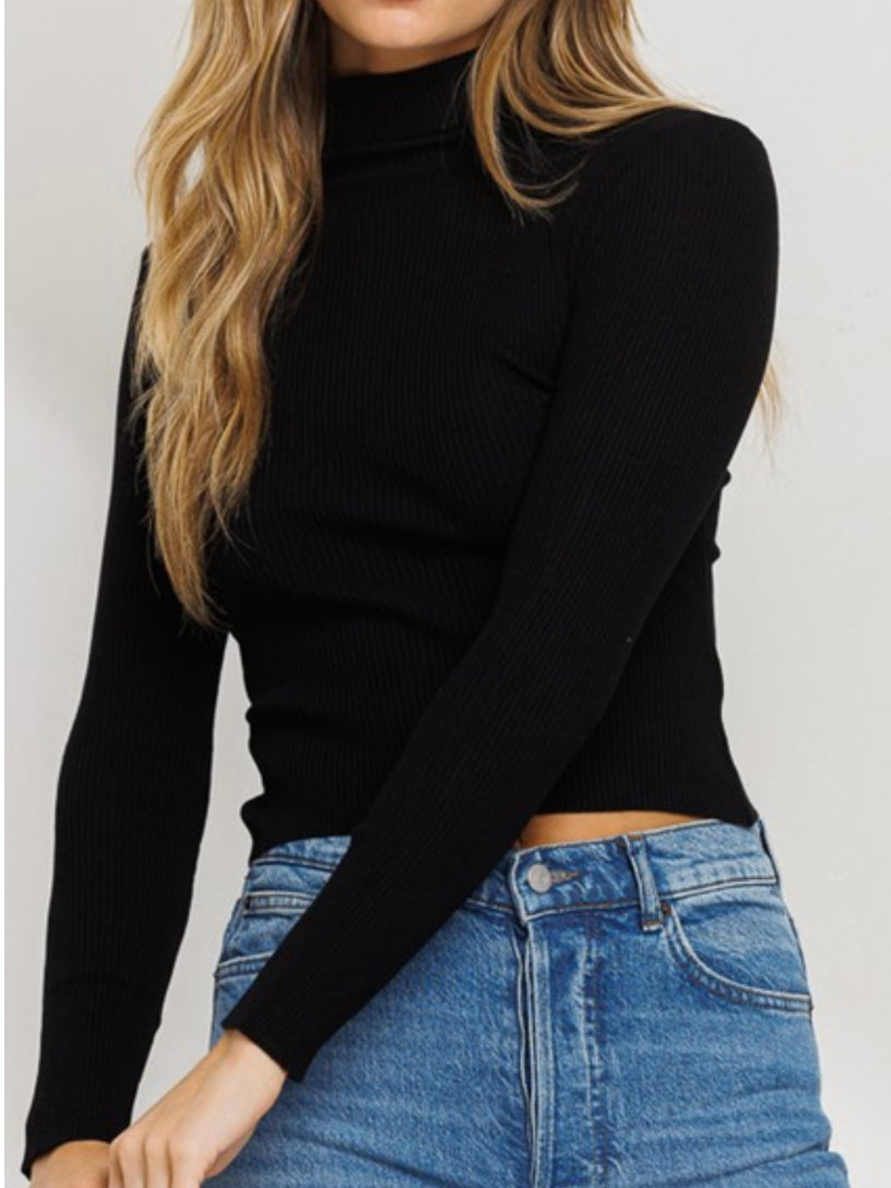 Turtle Neck Ribbed Sweater