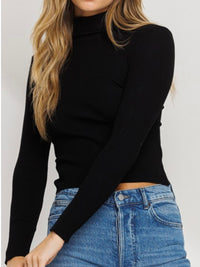 Turtle Neck Ribbed Sweater