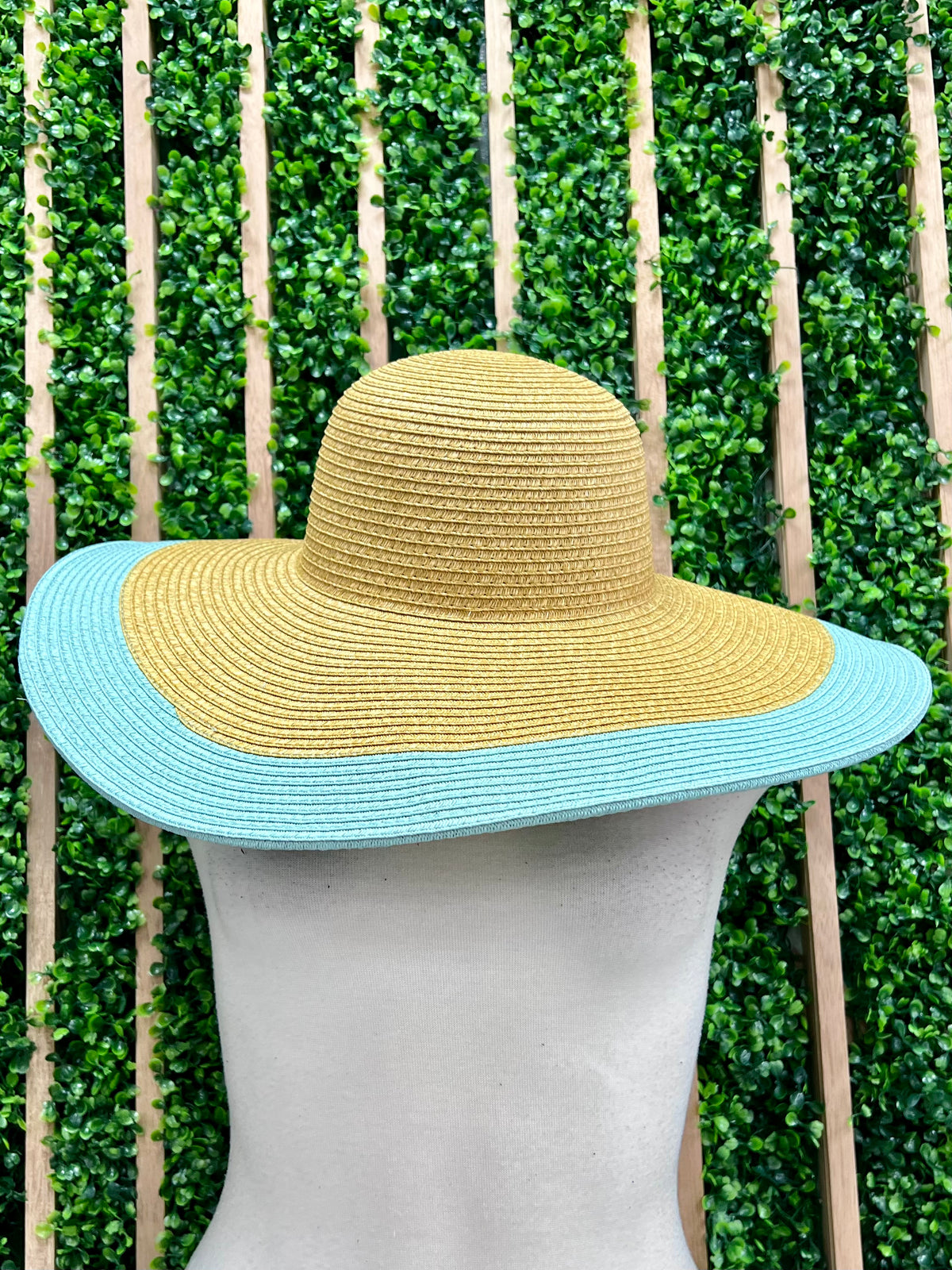 Color Trim Sun Hat