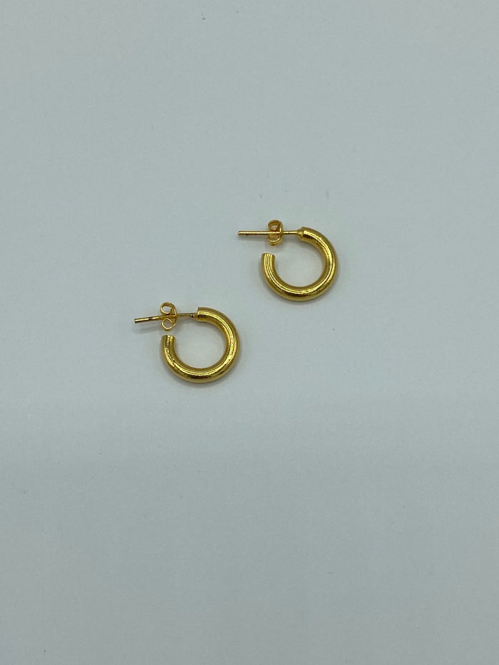 Small Gold Hoops