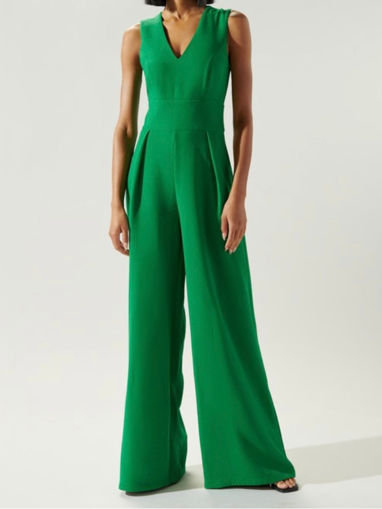 Exquisite V Neck Jumpsuit